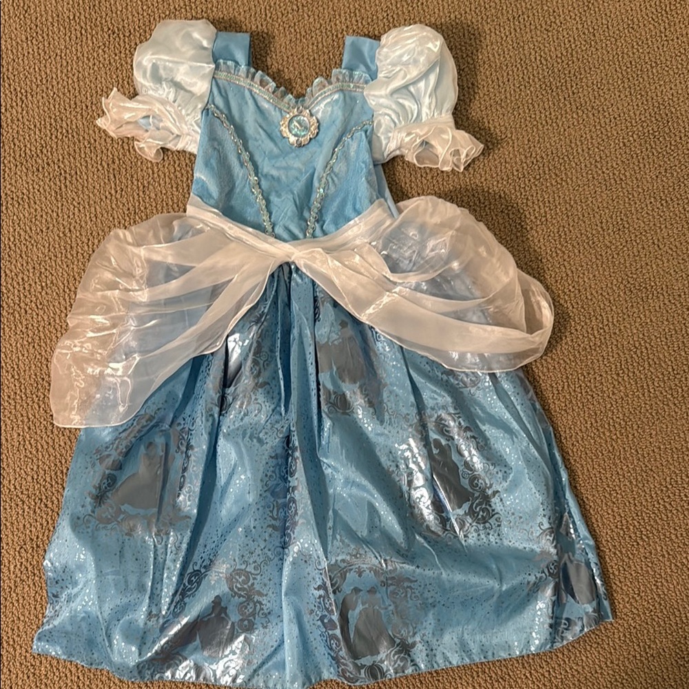 Disney Blue and White Cinderella Costume with Shimmery Fabric
